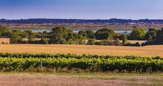 Point de vue de Beauregard