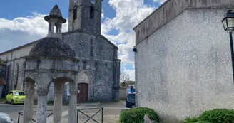 église