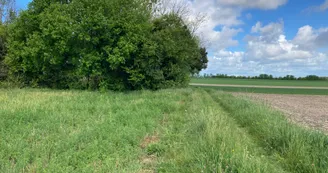 Campagne