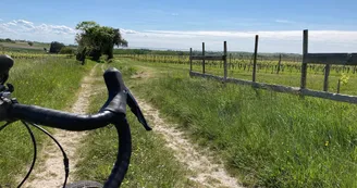 Floirac vtt vignes
