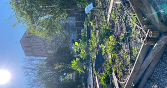 Jardins