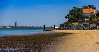 Point de vue Plage de La Cèpe