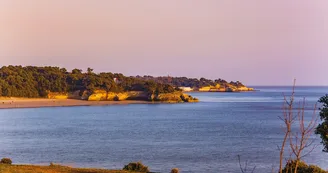 Point de vue de la Pointe de Suzac