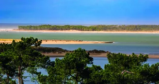 Point de vue du Pertuis de Maumusson