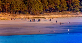 Plage de Suzac
