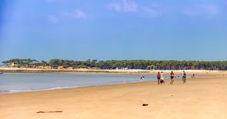 Plage des Pins de Cordouan Plage des Pins de Cordouan