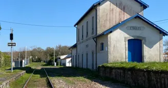 train