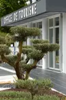 Devanture Office de Tourisme La Palmyre