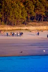 Plage de Suzac