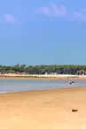 Plage des Pins de Cordouan